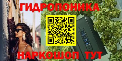 трава Гатчина
